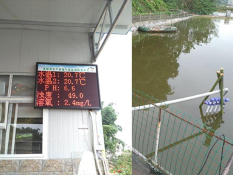 水產(chǎn)智能養(yǎng)殖系統(tǒng)